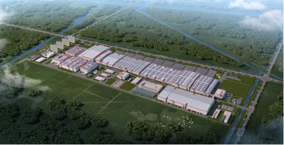 实验线、咨询服务